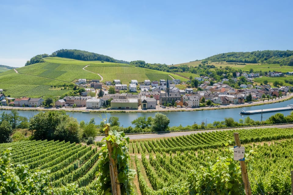 visiter la region viticole de la moselle