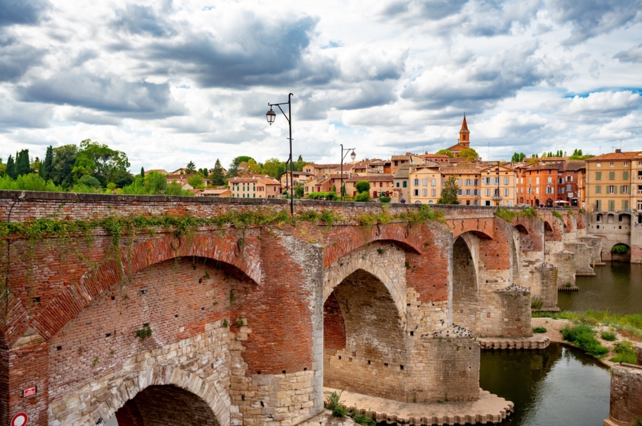 Albi,France,Old,Bridge,View