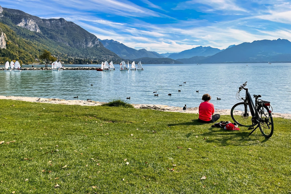 shutterstock 2505015619 (1) (1)