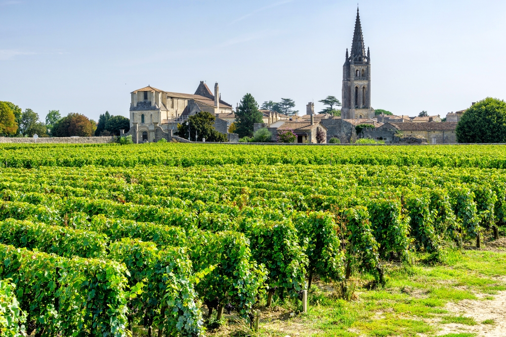 Vineyards,Of,Saint,Emilion,,Bordeaux,Wineyards,In,A,Sunny,Day,
