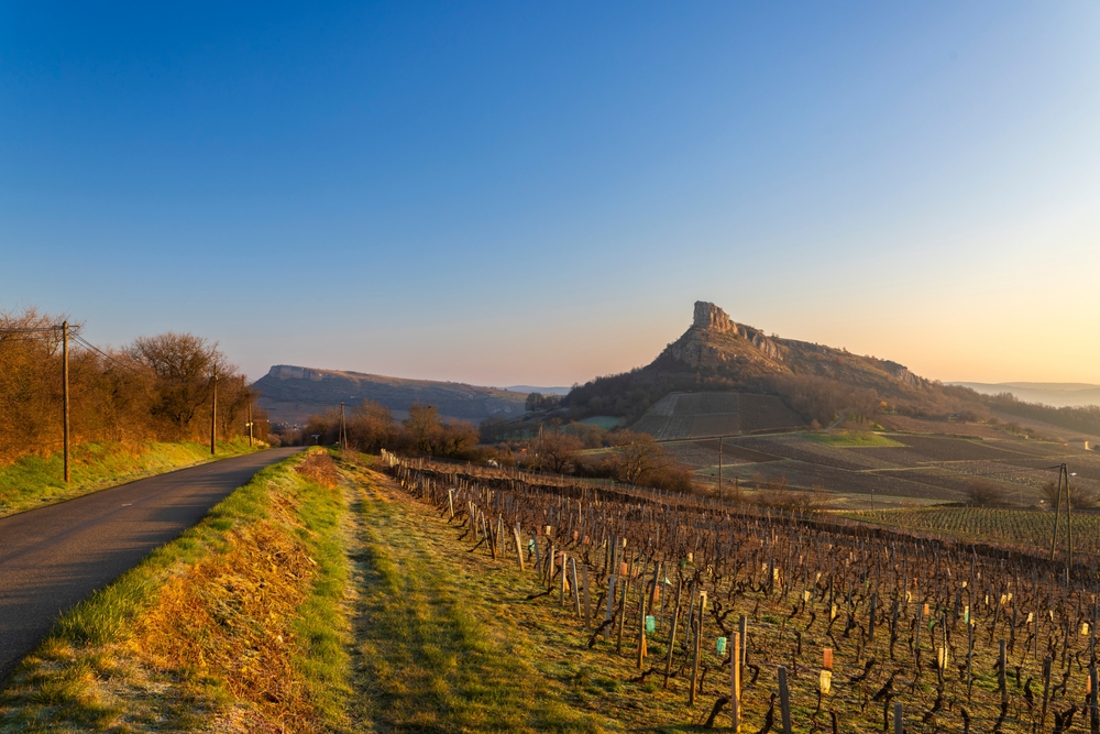 Roadside,Vineyards,With,The,Rock,Of,Solutre,At,Sunrise,In